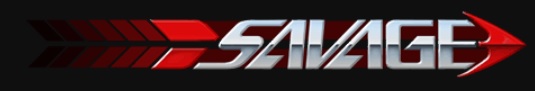 Savage Engineering & Sales, Inc. Logo